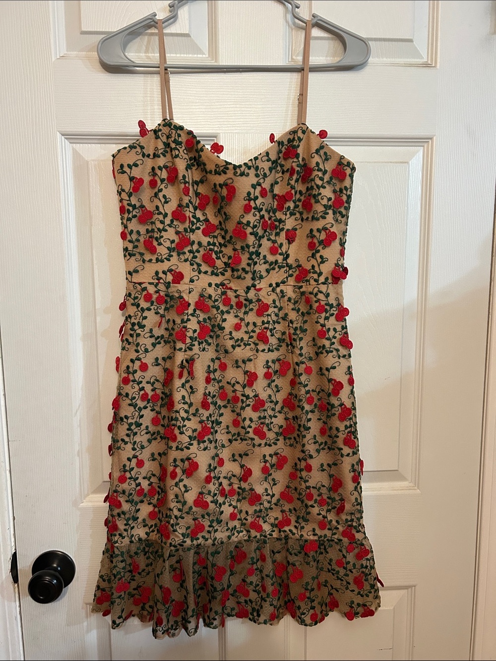 Dress the Population Kaya Cherry Beige Dress with Red Floral Appliqué